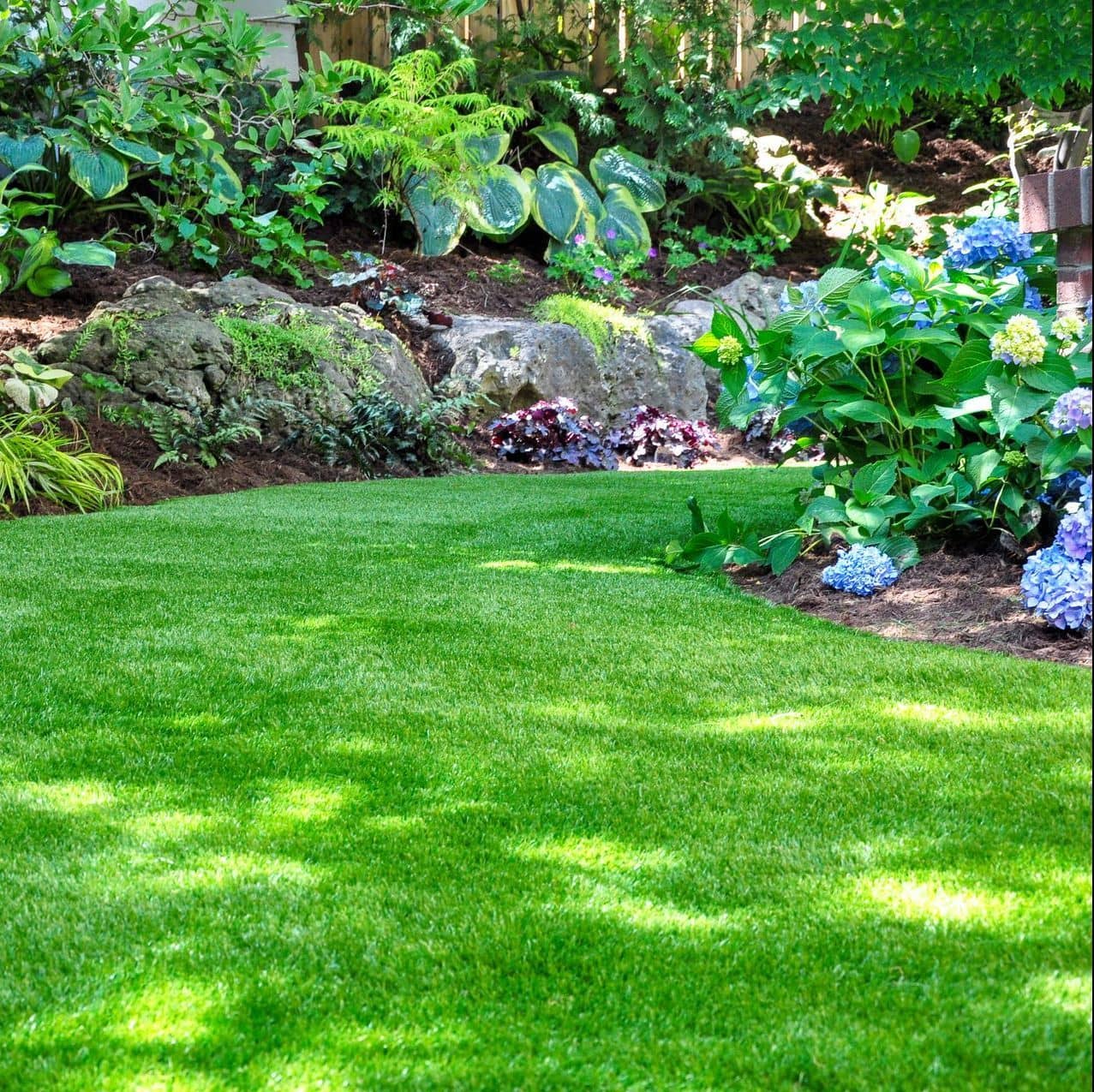 Well-maintained green lawn with scheduled care