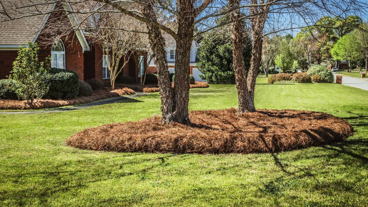 Professional Pine Straw & Mulch Installation