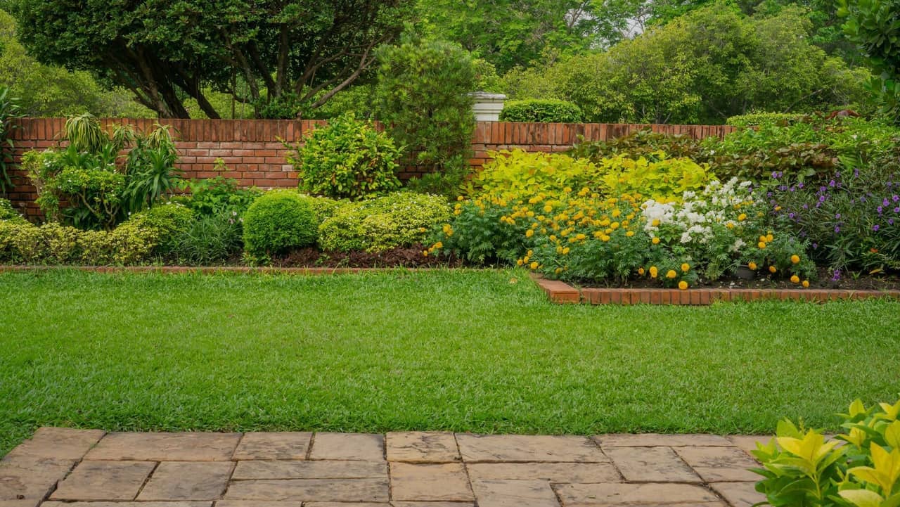 Neglected overgrown lawn showing effects of poor care