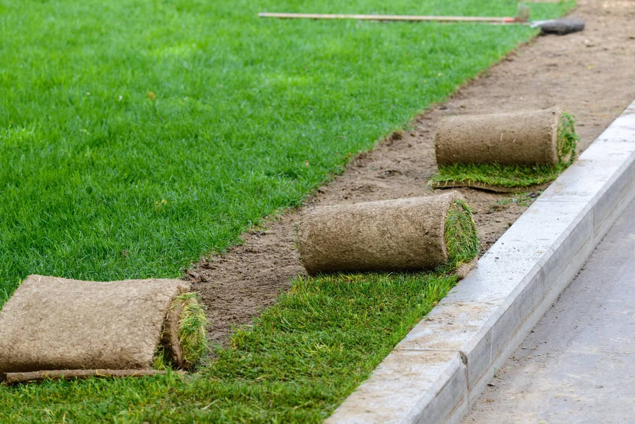 Residential sod installation in progress