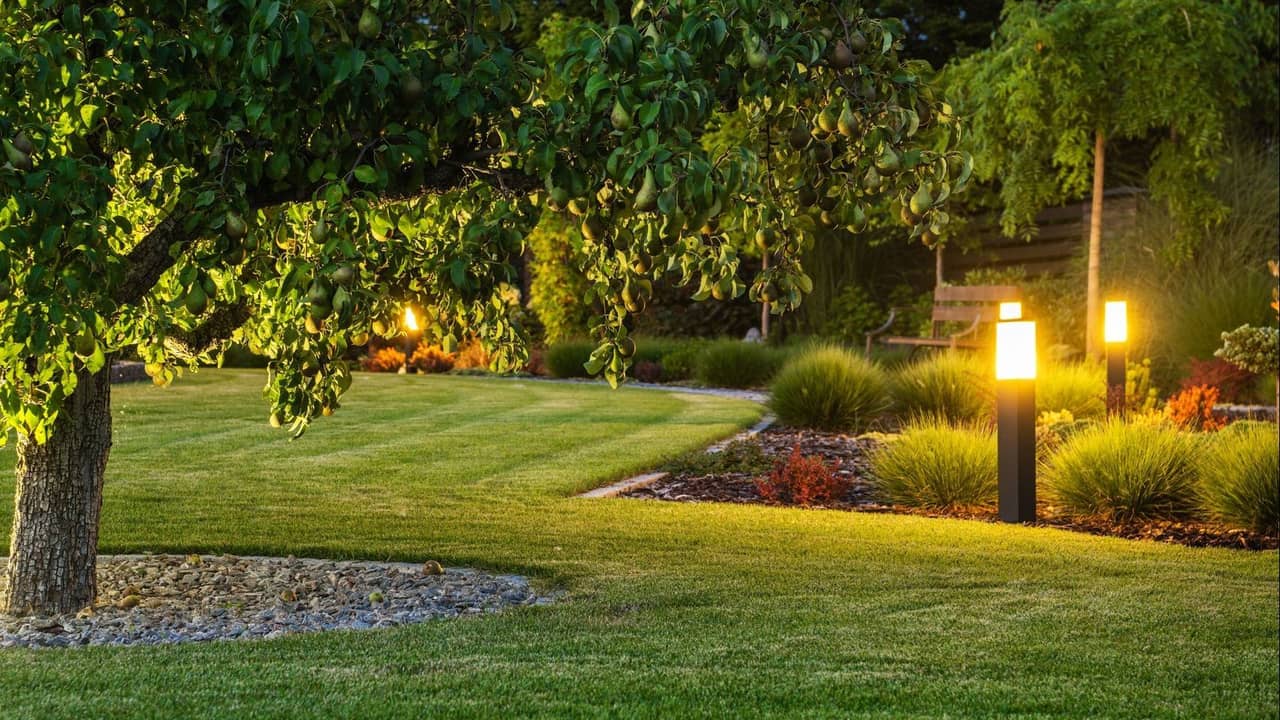 Professional Lawn Mowing Services