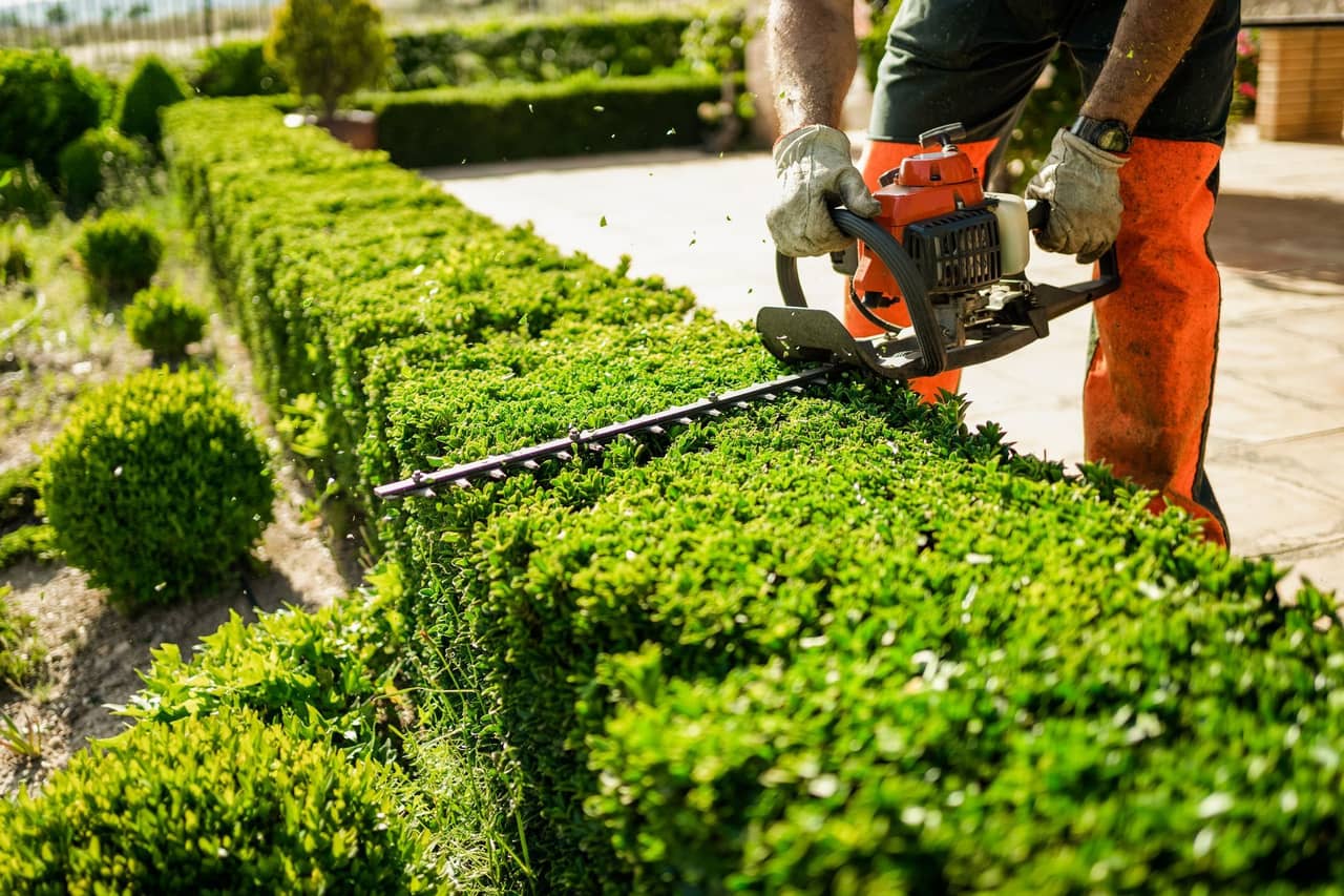 Commercial property pruning and landscaping maintenance