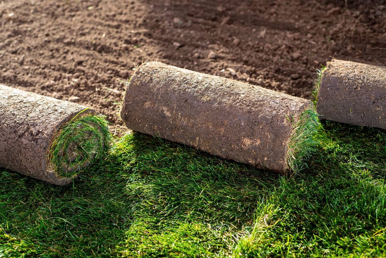 Beautiful sod lawn with instant green coverage