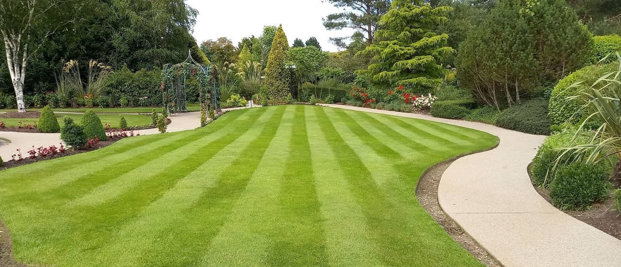 Professional lawn mowing service on a well-maintained residential property