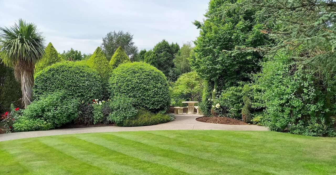 Well-maintained residential lawn in Macon GA