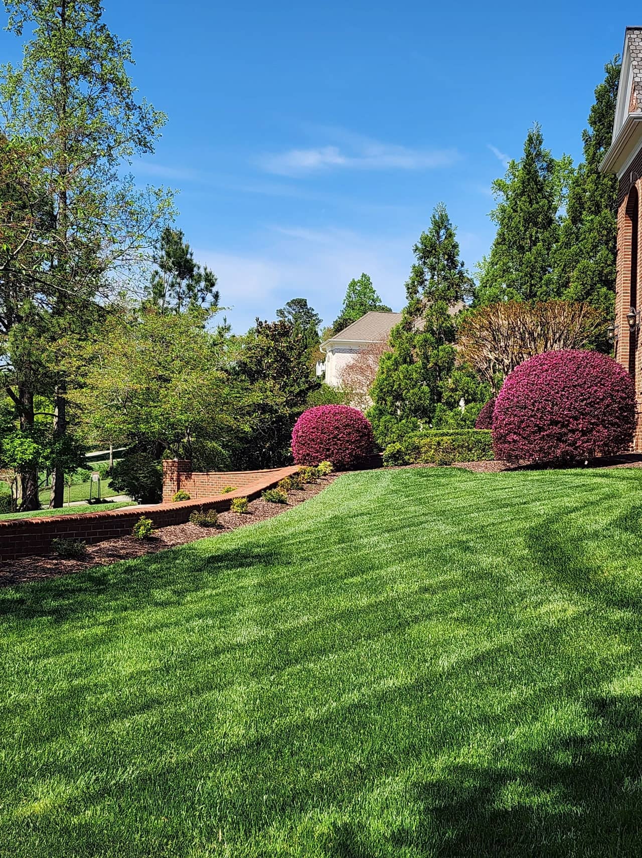 Residential lawn freshly mowed with clean edges