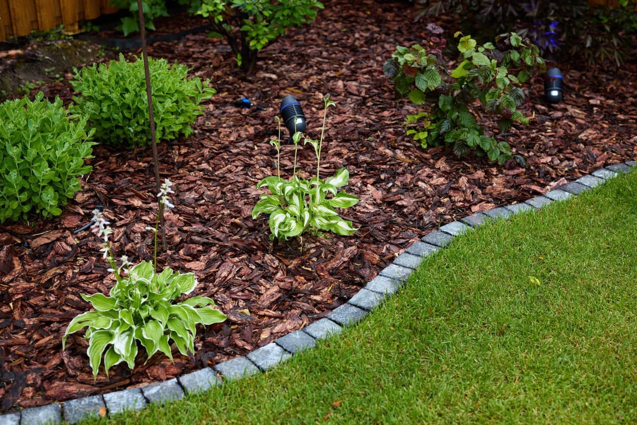 Commercial property with professionally installed mulch